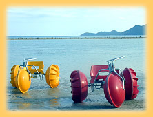 Fahrbare Ungetueme am Chaweng