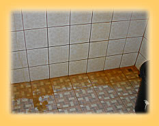 Ueberraschung am Morgen