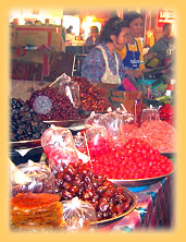Junger Sambarbaer der mit Flasche aufgepaeppelt wird