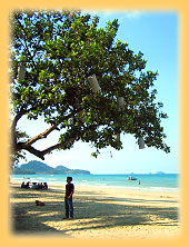 Wihite Sand Beach auf Koh Chang