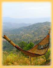 Blick in den Thap Lan Nationalpark