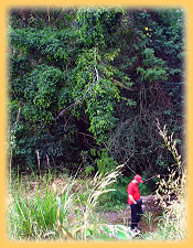 Im Thal Lan Nationalpark